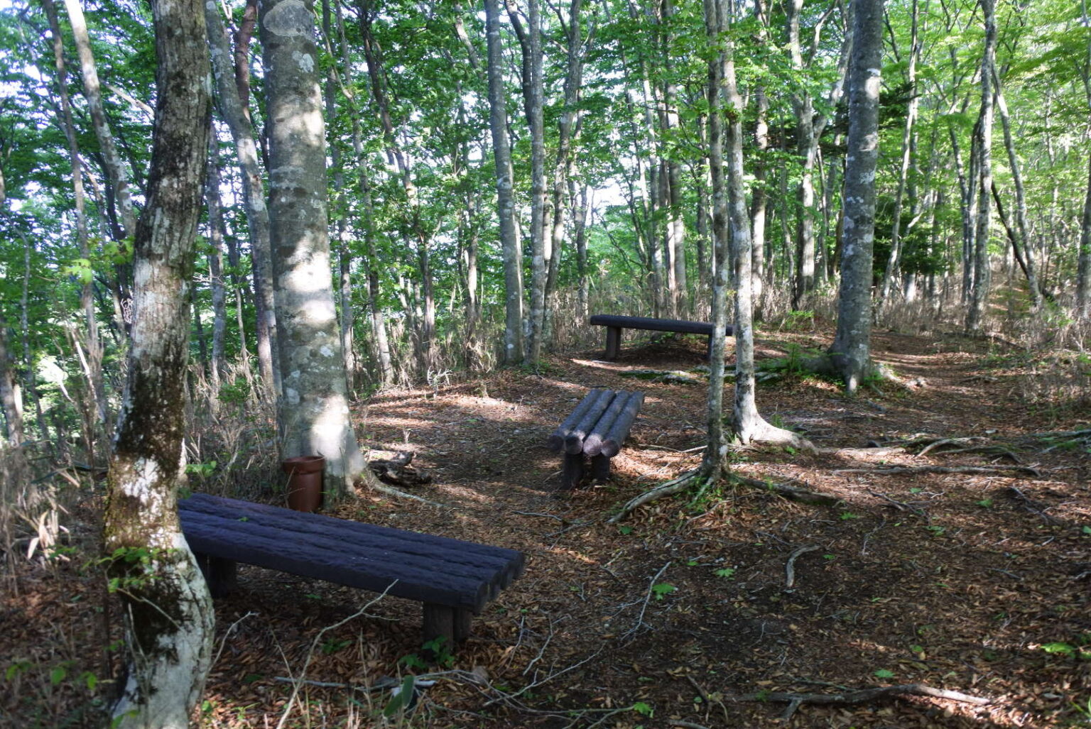 【登山】天狗棚・1200高地について紹介するよ！の巻｜わさびのブログ